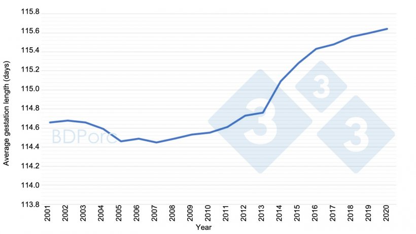 Graph 2. Average sow gestation length in Spain from 2001 to&nbsp;2020. Source: BDPorc.
